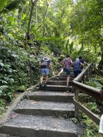 Kleine Wanderung zu den Trafalgar Falls &ndash; &copy; Anne Schröder (Eberhardt TRAVEL)