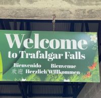Ausflug zu den Trafalgar Falls &ndash; &copy; Anne Schröder (Eberhardt TRAVEL)