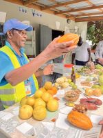 Die Früchte von St. Lucia &ndash; &copy; Anne Schröder (Eberhardt TRAVEL)