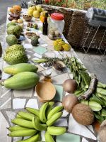 Exotische Früchte auf St. Lucia &ndash; &copy; Anne Schröder (Eberhardt TRAVEL)