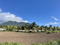 Natur pur auf St. Kitts &ndash; &copy; Anne Schröder (Eberhardt TRAVEL)