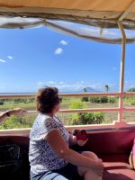Fahrt mit dem Sugar Train &ndash; &copy; Anne Schröder (Eberhardt TRAVEL)