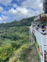 Atemberaubende Fahrt mit dem Sugar Train &ndash; &copy; Anne Schröder (Eberhardt TRAVEL)