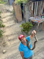 Gibt's hier leider wirklich &ndash; &copy; Anne Schröder (Eberhardt TRAVEL)