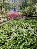 Jardin de Balata &ndash; &copy; Anne Schröder (Eberhardt TRAVEL)