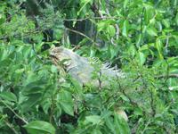IMG_3669 &ndash; &copy; Doreen Päßler (Eberhardt TRAVEL)
