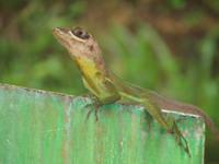 IMG_3699 &ndash; &copy; Doreen Päßler (Eberhardt TRAVEL)
