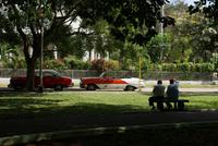 Ficusplatz Havanna - Stadtteil Miramar - Oldtimer & ihre Fahrer &ndash; &copy; Maria Drewans (Eberhardt TRAVEL)