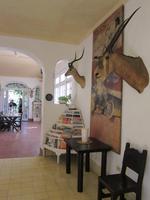Ausflug auf den Spuren von Hemingway - Finca La Vigia &ndash; &copy; Sylvia Ott (Eberhardt TRAVEL)