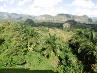 Vinales Tal &ndash; &copy; Rebekka Böhme (Eberhardt TRAVEL)