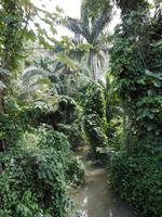 Vinales Tal &ndash; &copy; Rebekka Böhme (Eberhardt TRAVEL)