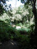 Topes de Collantes &ndash; &copy; Rebekka Böhme (Eberhardt TRAVEL)