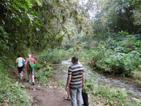 Topes de Collantes &ndash; &copy; Rebekka Böhme (Eberhardt TRAVEL)