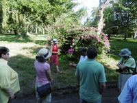 Botanischer Garten Cienfuegos &ndash; &copy; Rebekka Böhme (Eberhardt TRAVEL)