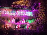 Silvester Tropicana Cabaret &ndash; &copy; Rebekka Böhme (Eberhardt TRAVEL)