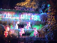 Silvester Tropicana Cabaret &ndash; &copy; Rebekka Böhme (Eberhardt TRAVEL)