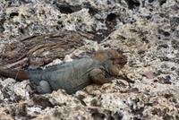 IMG_1202 &ndash; &copy; Anna Stiebing (Eberhardt TRAVEL)