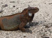 IMG_1204 &ndash; &copy; Anna Stiebing (Eberhardt TRAVEL)