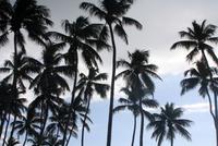 IMG_1229 &ndash; &copy; Anna Stiebing (Eberhardt TRAVEL)