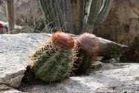 IMG_1272 &ndash; &copy; Anna Stiebing (Eberhardt TRAVEL)