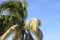 IMG_1403