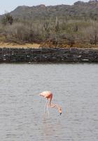 IMG_1535 &ndash; &copy; Anna Stiebing (Eberhardt TRAVEL)