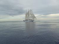 Star Flyer