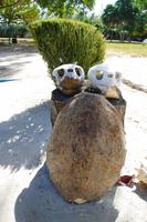 Cayo Largo &ndash; &copy; Anna Stiebing (Eberhardt TRAVEL)