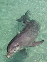 Cayo Largo &ndash; &copy; Anna Stiebing (Eberhardt TRAVEL)