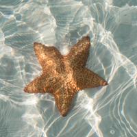 Cayo Largo &ndash; &copy; Anna Stiebing (Eberhardt TRAVEL)