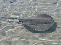 Cayo Rico, Rochen &ndash; &copy; Anna Stiebing (Eberhardt TRAVEL)