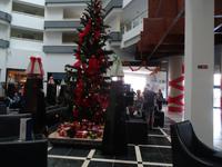 Ankunft im noch weihnachtlich geschmückten Hotel Panorama in Havanna &ndash; &copy; Elke Knappe (Eberhardt TRAVEL)
