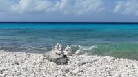 Korallensteine und Meer von Bonaire
