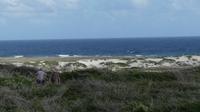 Dünenlandschaft an der Küste von  Aruba