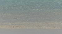 Wasser auf Aruba
