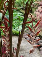 Jardin de Balata