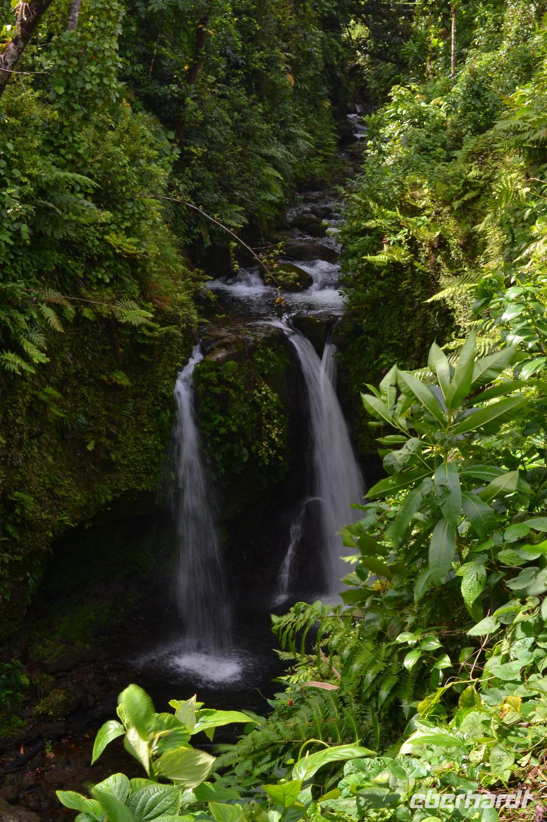 Hibiscus Wasserfall Dominica (4) &ndash; &copy; Laura Wonneberger (Eberhardt TRAVEL)