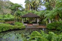 Balata Garten (5) &ndash; &copy; Laura Wonneberger (Eberhardt TRAVEL)