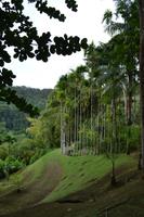 Balata Garten (7) &ndash; &copy; Laura Wonneberger (Eberhardt TRAVEL)