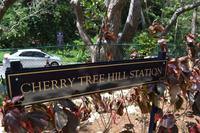 Cherry Tree Hill Barbados (3) &ndash; &copy; Laura Wonneberger (Eberhardt TRAVEL)