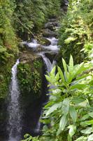 Hibiscus Wasserfall Dominica (2) &ndash; &copy; Laura Wonneberger (Eberhardt TRAVEL)