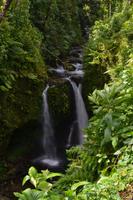 Hibiscus Wasserfall Dominica (4) &ndash; &copy; Laura Wonneberger (Eberhardt TRAVEL)