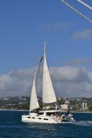 Katamaranfahrt Barbados (15) &ndash; &copy; Laura Wonneberger (Eberhardt TRAVEL)