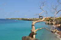 Knip Beach Curacao (1) &ndash; &copy; Laura Wonneberger (Eberhardt TRAVEL)