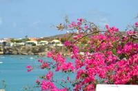 Knip Beach Curacao (2) &ndash; &copy; Laura Wonneberger (Eberhardt TRAVEL)