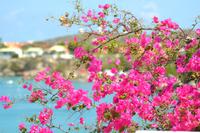 Knip Beach Curacao (3) &ndash; &copy; Laura Wonneberger (Eberhardt TRAVEL)
