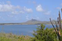 Lake Goto - Bonaire (2) &ndash; &copy; Laura Wonneberger (Eberhardt TRAVEL)