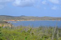 Lake Goto - Bonaire (4) &ndash; &copy; Laura Wonneberger (Eberhardt TRAVEL)