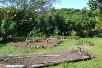 Lauras Spice Garden - Grenada (6) &ndash; &copy; Laura Wonneberger (Eberhardt TRAVEL)
