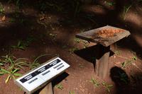 Lauras Spice Garden - Grenada (11) &ndash; &copy; Laura Wonneberger (Eberhardt TRAVEL)